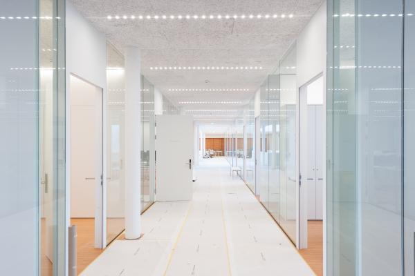 A corridor in a school with wood wool panels on the ceiling